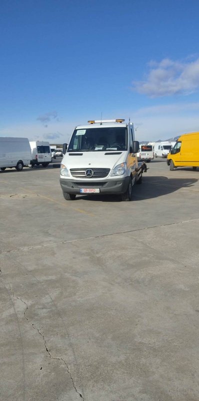 ფოტო 8 Mercedes-Benz Sprinter 2012