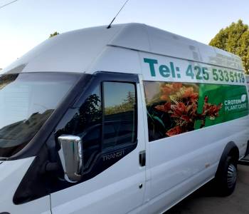 ფოტო 3 FORD Transit 2012 thumb